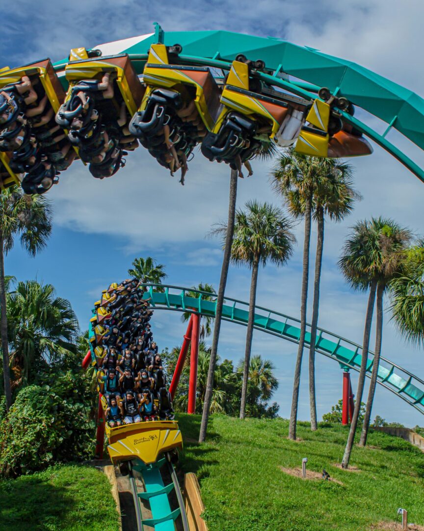 Busch-Gardens-Tampa-Coaster